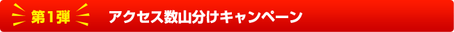 第1弾アクセス数山分けキャンペーン