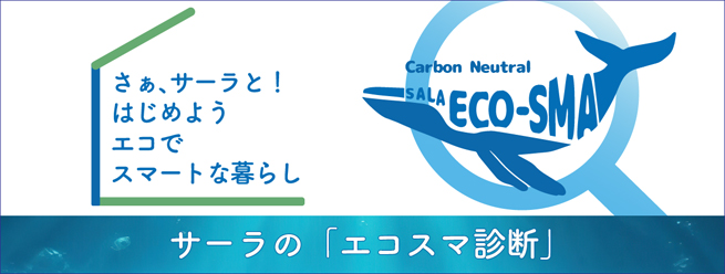 エコスマ診断